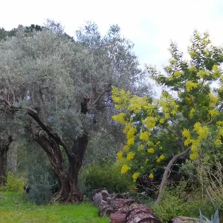 Les Moussaillons Bandol